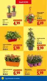 Catalogue Lidl semaine 19 page 26
