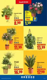 Catalogue Lidl semaine 19 page 27