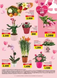 Spar akciós újság hét 18 Oldal 3