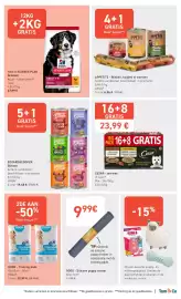 Tom&Co folder Pagina 7