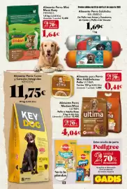 Folleto Gadis semana 18 Página 31