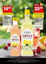 Delikatesy Centrum gazetka | Alkohole Strona 14