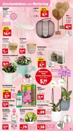 Thomas Philipps Prospekt woche 19 Seite 13