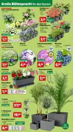 Thomas Philipps Prospekt woche 19 Seite 6