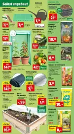 Thomas Philipps Prospekt woche 19 Seite 7