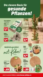 Thomas Philipps Prospekt woche 19 Seite 8