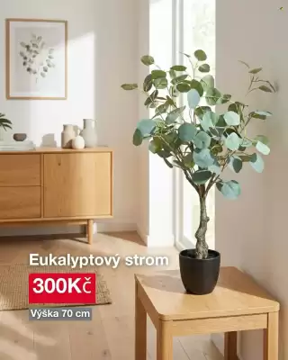 Woolworth (platné do 7-05)