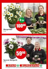 Spar kundeavis Side 18