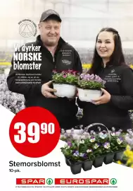 Spar kundeavis Side 19