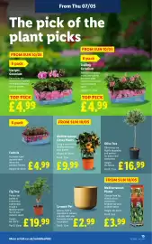 Lidl leaflet week 19 Page 17