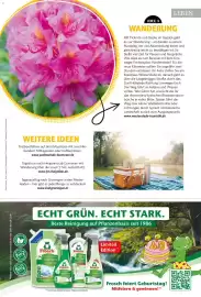 Famila Nord West Magazin Seite 77