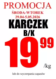 Wizan gazetka Strona 1