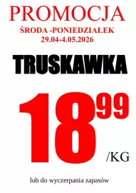 Wizan gazetka Strona 11