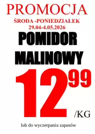 Wizan gazetka Strona 13