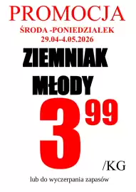 Wizan gazetka Strona 3