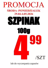 Wizan gazetka Strona 8