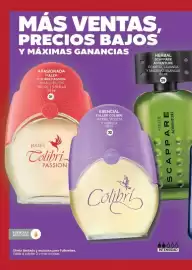 Catálogo Fuller Página 12