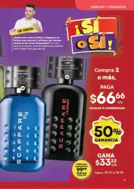 Catálogo Fuller Página 13