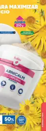 Catálogo Fuller Página 31
