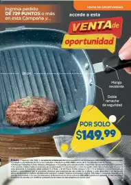 Catálogo Fuller Página 41
