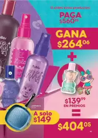 Catálogo Fuller Página 43