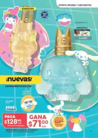 Catálogo Fuller Página 9
