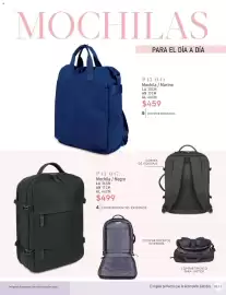 Catálogo Cklass Página 236