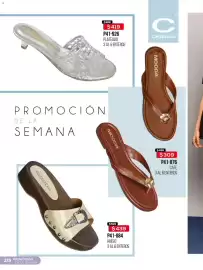 Catálogo Cklass Página 24