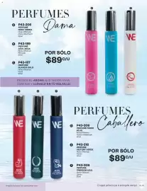 Catálogo Cklass Página 250