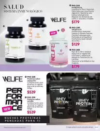 Catálogo Cklass Página 252