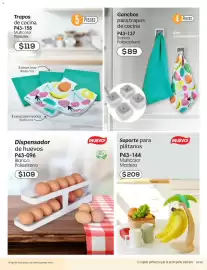 Catálogo Cklass Página 260