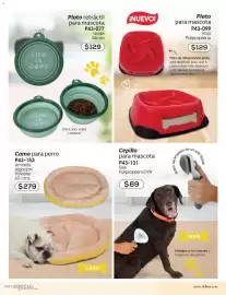 Catálogo Cklass Página 273