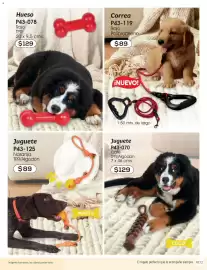 Catálogo Cklass Página 274