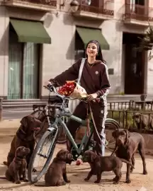 Catálogo Vitnik Página 1