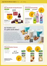 Martin Reformstark Flugblatt Seite 12