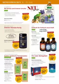 Martin Reformstark Flugblatt Seite 16