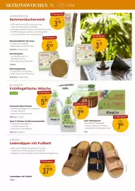 Martin Reformstark Flugblatt Seite 18