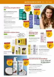 Martin Reformstark Flugblatt Seite 19