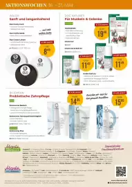 Martin Reformstark Flugblatt Seite 20