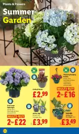 Lidl leaflet week 19 Page 22