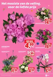 Dekamarkt folder week 19 Pagina 19