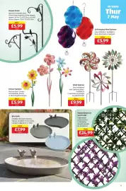 Aldi leaflet Page 17