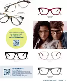 Hartlauer Flugblatt Seite 11