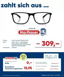 Hartlauer Flugblatt Seite 3