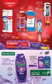 Catalog Selgros Pagină 25