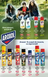 Catalog Selgros Pagină 31