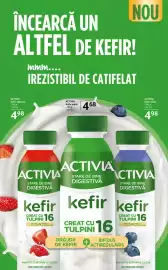 Catalog Selgros Pagină 8