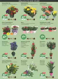V Markt Prospekt woche 19 Seite 15