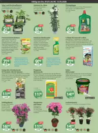 V Markt Prospekt woche 19 Seite 16
