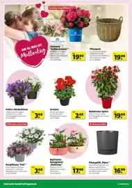 Hagebau Prospekt woche 18 Seite 2